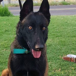 Meet your Posher, Maria salud